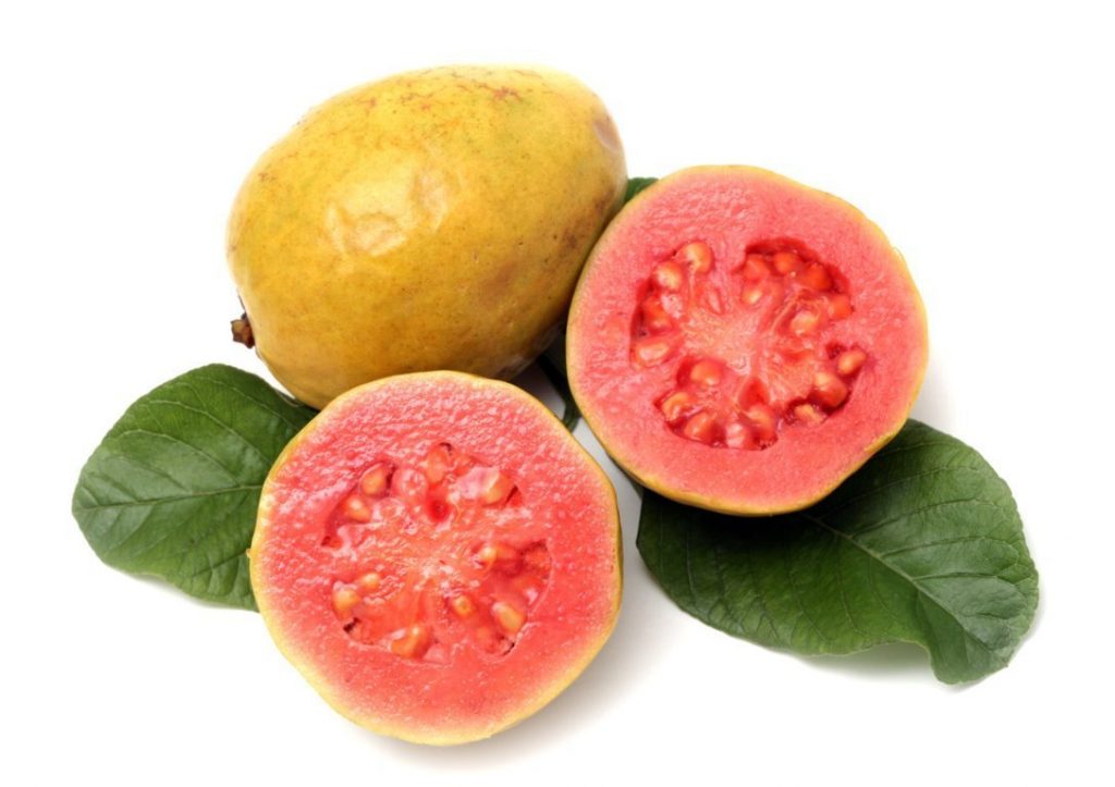 goiaba-fruit-brazil